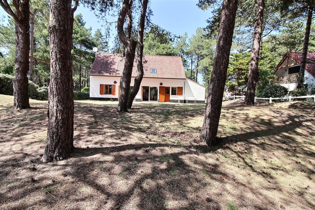 /picture/helios/116215201/16 BRUYERES/20_2025-12-28CET00h00-14.jpg